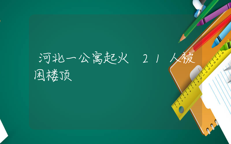 河北一公寓起火 21人被困楼顶插图